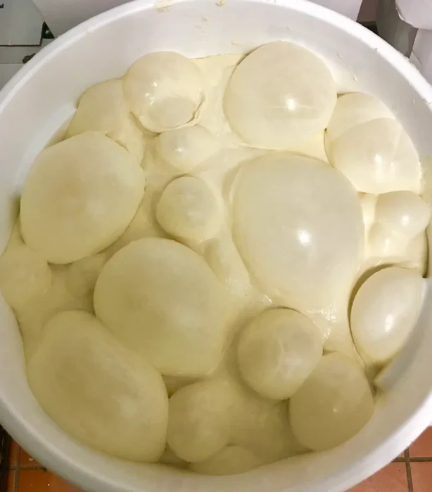 a bowl containing the homemade pizza dough that we used for this gyro pizza recipe