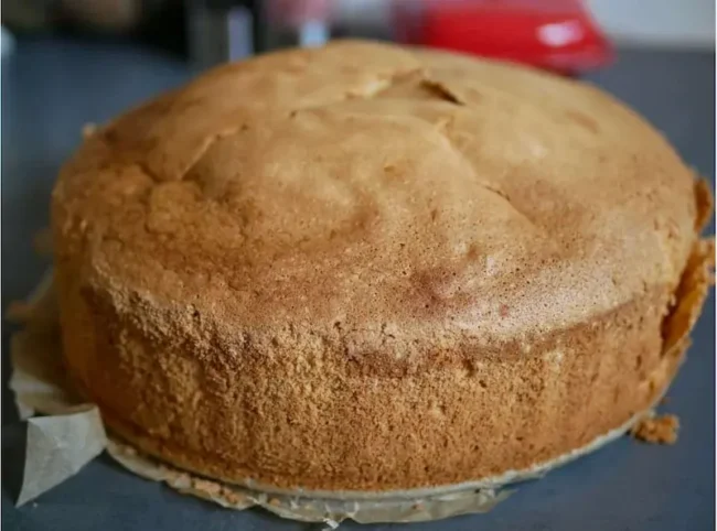 a homemade dairy free sponge cake for christmas