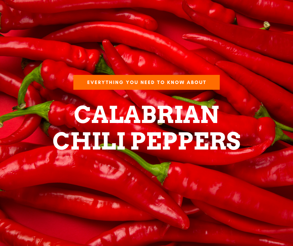 Chile Peppers