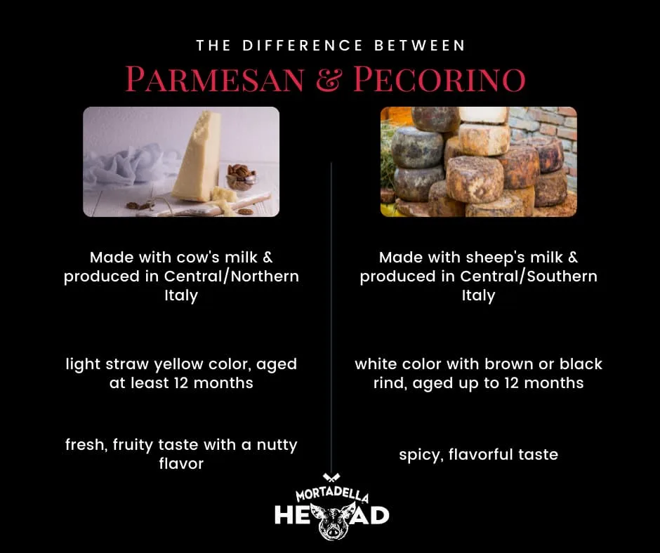 an infographic that recaps all the above mentioned differences between parmesan and pecorino cheese