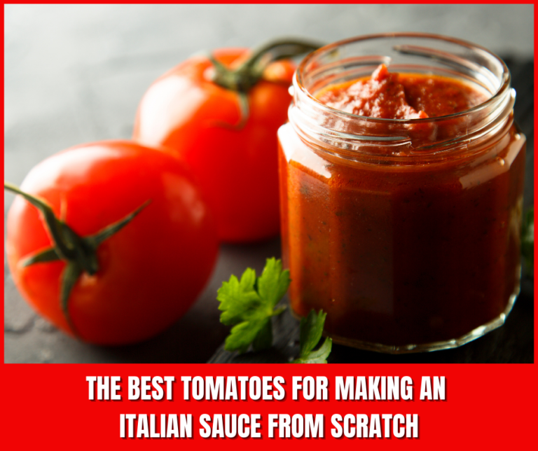 Best Tomatoes for Italian Sauce