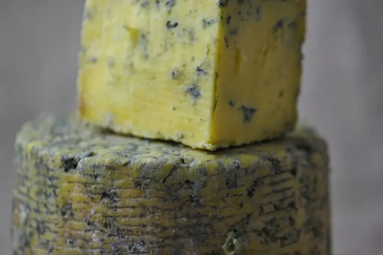 blue cheese vs gorgonzola