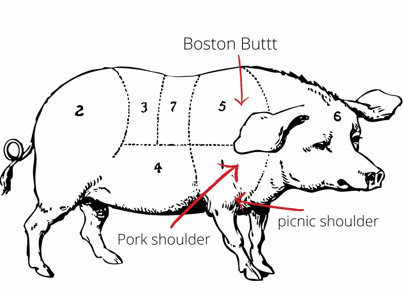 a visual table of the the right cuts of meat for pulled pork