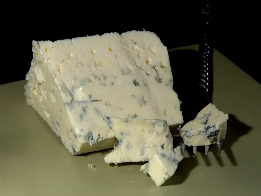 a piece of danablu cheese