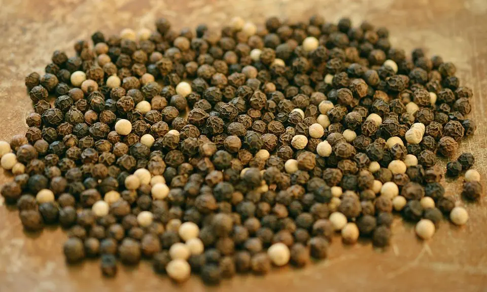 black pepper grains