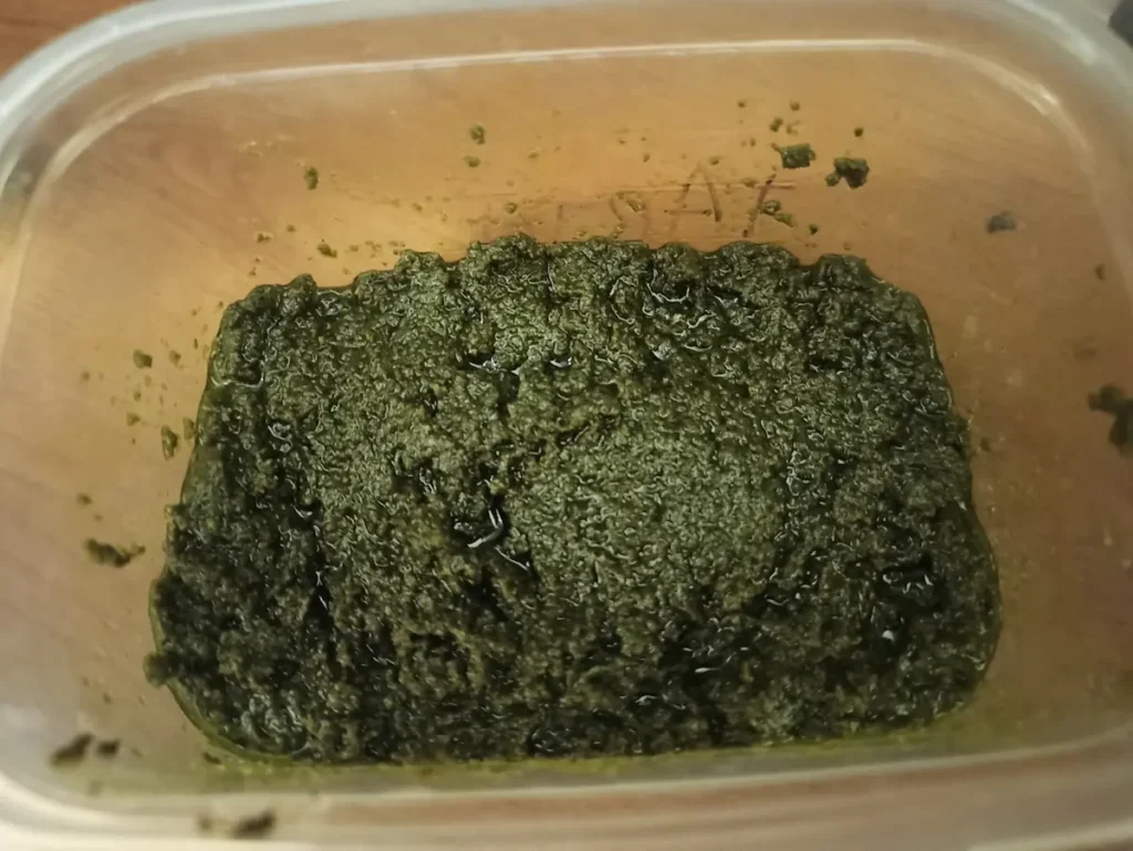 The final product of this oregano pesto recipe. It's a chunkier pesto, with a darker color than traditional basil pesto.