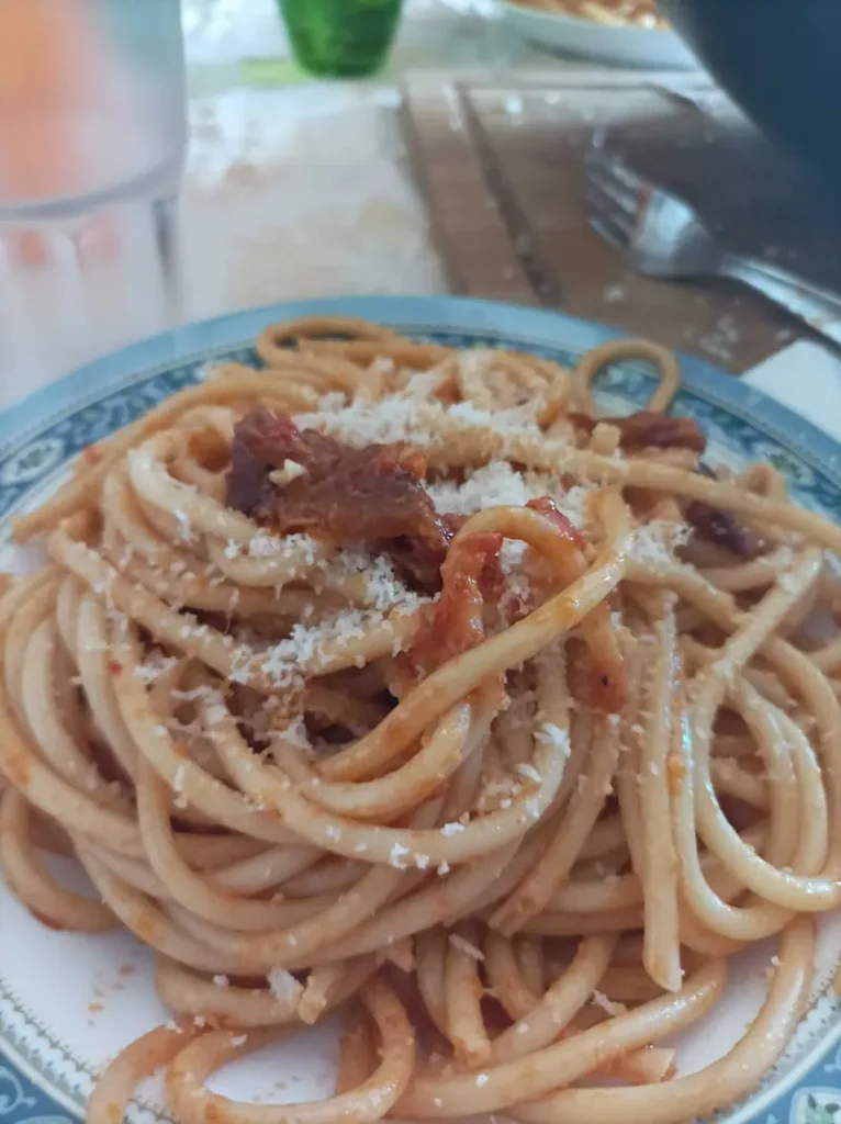 italian style amatriciana pasta on a plate