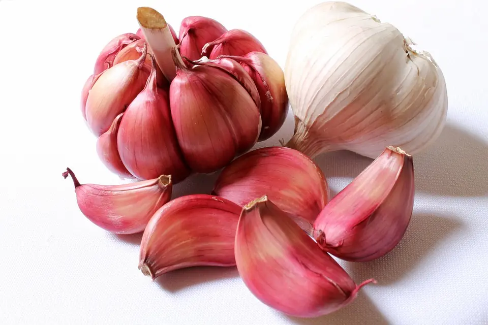 2 types of garlic: one red, one white