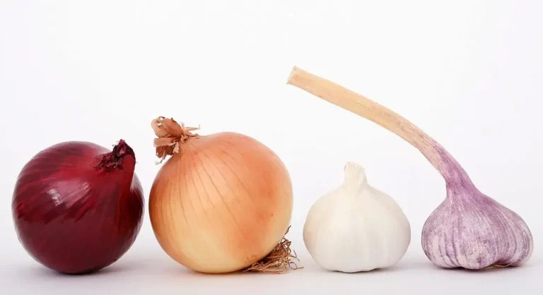 how to saute onions and garlic