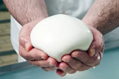 a ball of fresh mozzarella cheese