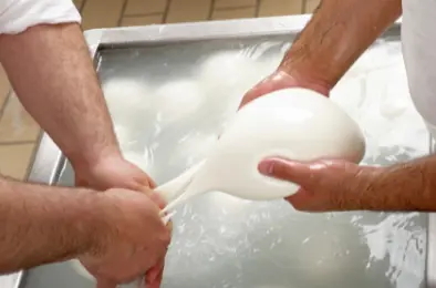 hands making fresh mozzarella