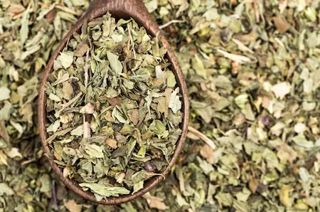 dried basil leaves on a wooden spoon