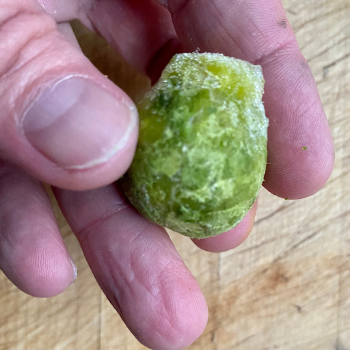 frozen brussel sprouts are usually smaller than the fresh version