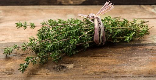 Thyme vs Oregano: 10 Key Differences - SimplyBeyondHerbs