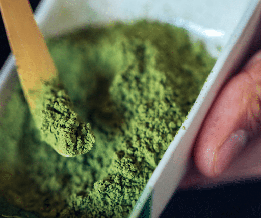 high-quality matcha powder