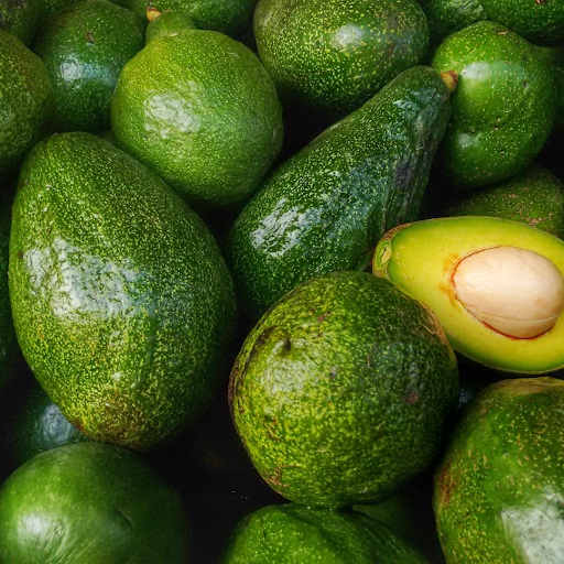 Avocado