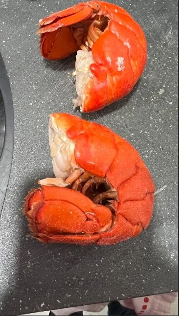 red lobster alfredo fettuccine