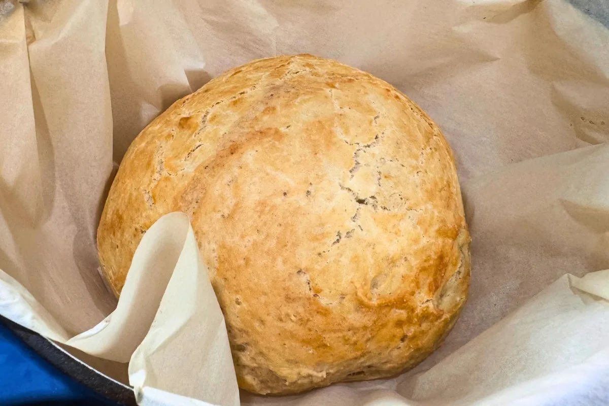 Fast homemade 10 minute bread recipe