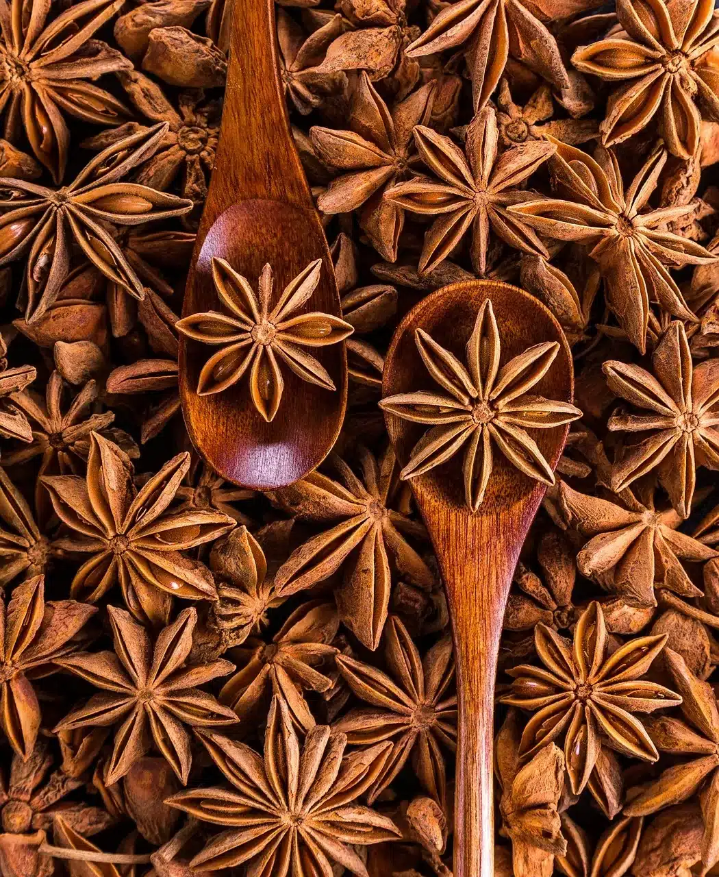 anise star