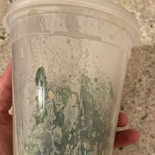 broccoli rabe on container