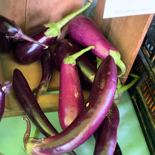Italian sauteed eggplant-eggplant