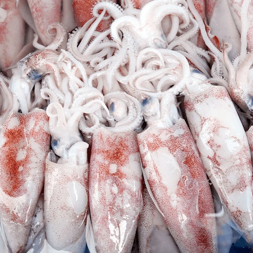 health benefits of squid