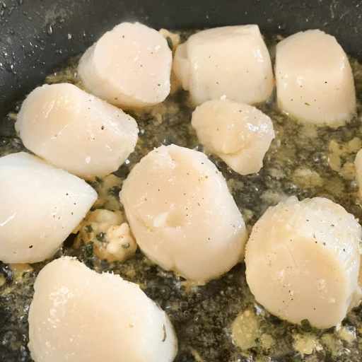 scallops