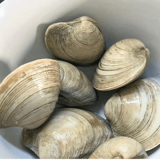 shrimp mussels clams recipe-clams