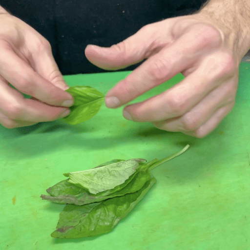 How to Cut Basil-laying the leaves