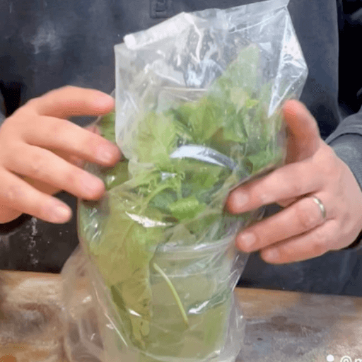 How to Cut Basil-storing fresh basil