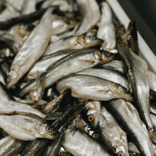 italian smelts recipe