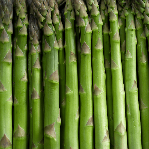 Close-up of fresh green asparagus bunch
