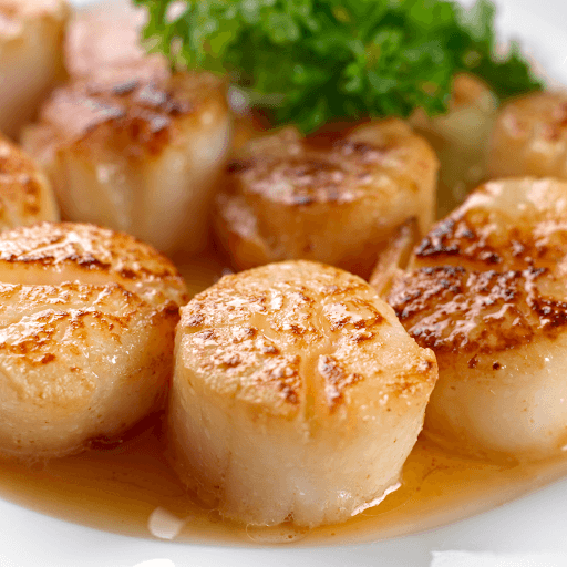 Seared scallops with caramelized crust in light sauce