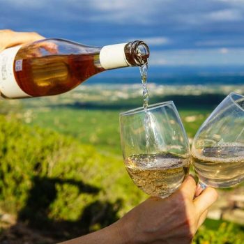guide to italian white wines mortadella head bosto