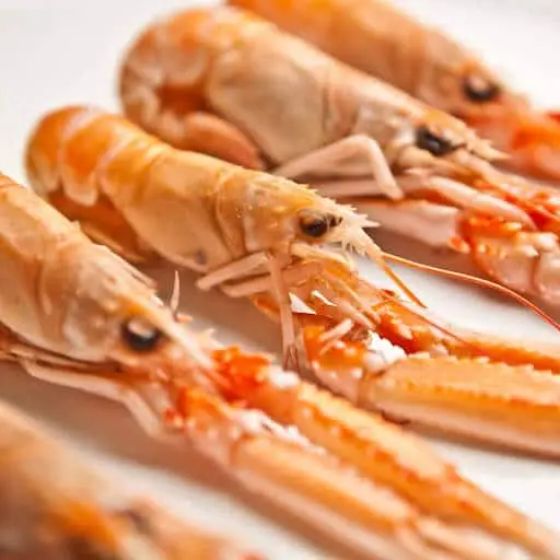 what to serve with shrimp scampi